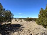 0 Black Horse Drive - Photo 21