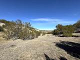 0 Black Horse Drive - Photo 22