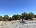 0 Black Horse Drive - Photo 4