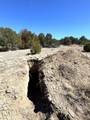 0 Black Horse Drive - Photo 5