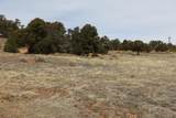 311 Navajo Rd - Photo 21