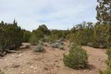 311 Navajo Rd - Photo 25