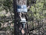 12250 Fawn Drive - Photo 28