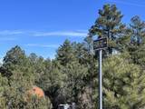 12250 Fawn Drive - Photo 35