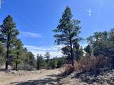 12250 Fawn Drive - Photo 5