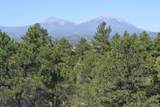 23370 Apishapa Lane - Photo 40