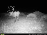 3701 Co Rd 230 - Photo 45