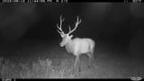 3701 Co Rd 230 - Photo 46