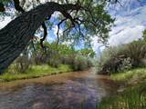 3701 Co Rd 230 - Photo 5