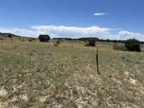 Lot 17 Longhorn Ranch - Photo 10