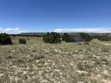Lot 17 Longhorn Ranch - Photo 11