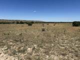 Lot 17 Longhorn Ranch - Photo 6
