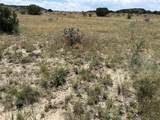 Lot 17 Longhorn Ranch - Photo 8