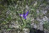 TBD Paradise Acres - Photo 13