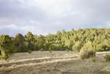 25257 County Rd. 55.9 - Photo 60
