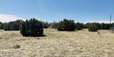 Lot 61 Buffalo Drive - Photo 10