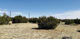 Lot 61 Buffalo Drive - Photo 11