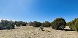 Lot 61 Buffalo Drive - Photo 6