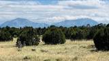 Lot 61 Buffalo Drive - Photo 8