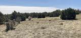 Lot 61 Buffalo Drive - Photo 9