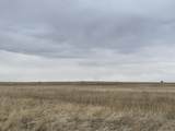 TBD County Road 112 - Photo 15