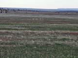 TBD County Road 112 - Photo 7