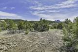 TBD County Road 69.1 - Photo 10