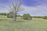 TBD County Road 69.1 - Photo 20