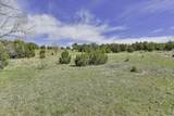 TBD County Road 69.1 - Photo 25