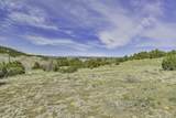 TBD County Road 69.1 - Photo 27