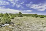 TBD County Road 69.1 - Photo 29