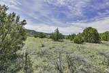 TBD County Road 69.1 - Photo 9