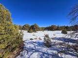 16 Navajo Ranch Resorts - Photo 24