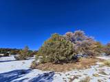16 Navajo Ranch Resorts - Photo 25