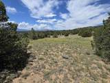 16 Navajo Ranch Resorts - Photo 29