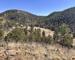 TBD Big Pine Ridge - Photo 10