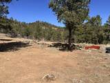 TBD Big Pine Ridge - Photo 14