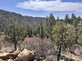 TBD Big Pine Ridge - Photo 17
