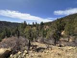 TBD Big Pine Ridge - Photo 18