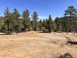 TBD Big Pine Ridge - Photo 4