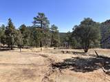 TBD Big Pine Ridge - Photo 5