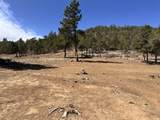 TBD Big Pine Ridge - Photo 6
