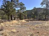 TBD Big Pine Ridge - Photo 9