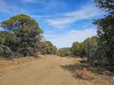 TBD Turkey Run - Photo 12