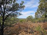 TBD Turkey Run - Photo 14