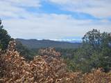 TBD Turkey Run - Photo 15
