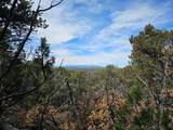 TBD Turkey Run - Photo 18