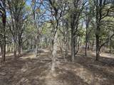 TBD Turkey Run - Photo 2