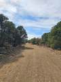 TBD Turkey Run - Photo 29