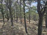 TBD Turkey Run - Photo 3